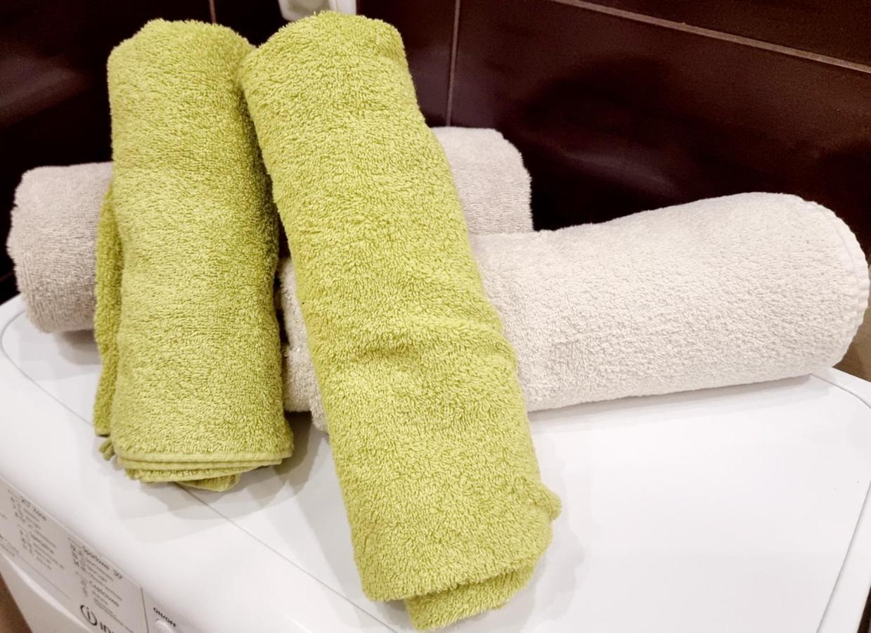 Przytulny Na Winnicy Z Widokiem Na Wisle Apartment Torun